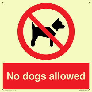 No dogs allowed